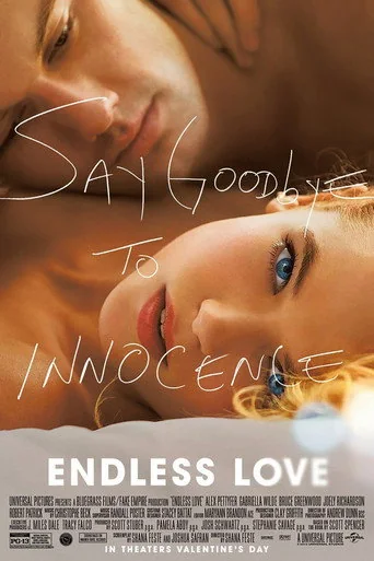 Endless Love poster