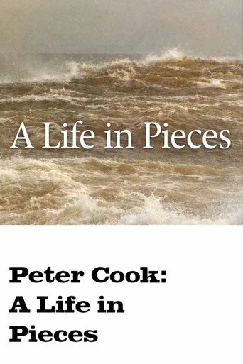 Life in Pieces poster